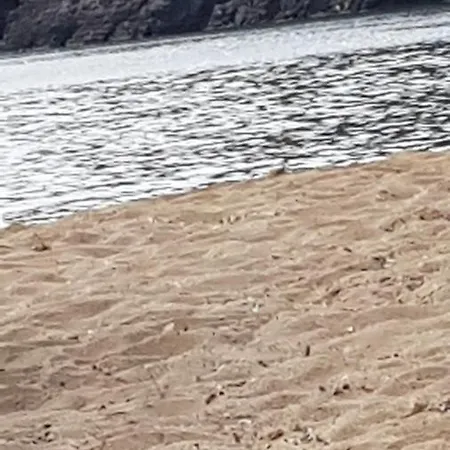 La Fenice * Terralba