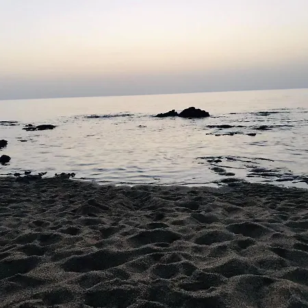 La Fenice * Terralba