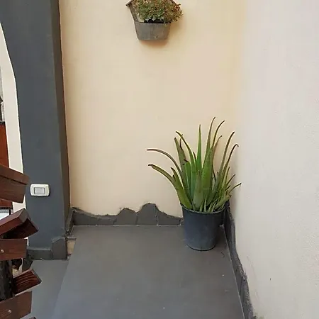 La Fenice Panzió Terralba