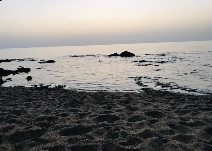 La Fenice * Terralba